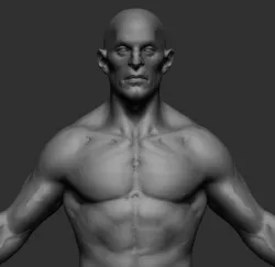 Male Anatomy v4 3D model