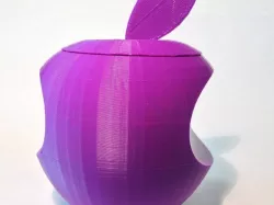 Mapple logo
