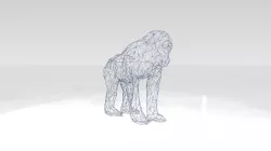 Monkey Wireframe 3D model
