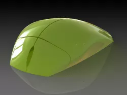 Mouse Surface Model