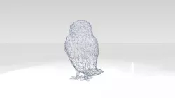 Owl Wireframe 3D model