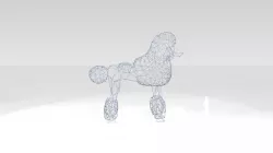 Poodle Wireframe 3D model