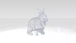 Rabbit Wireframe 3D model