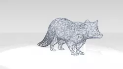 Raccoon Wireframe 3D model