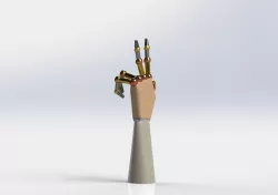 Robotic Hand Skeleton