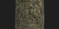 Roots Texture
