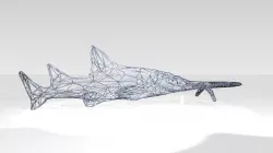 Sawshark Wireframe 3D model