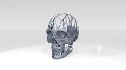 Skull Dust Voronoi 3D model