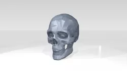 Skull Low Poligonal 3D model