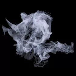 Smoke 3D model