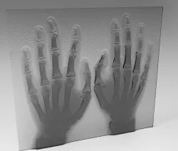 xray hand model 3D model
