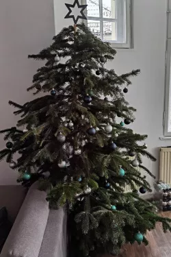 Make your own re-usable Christmas tree