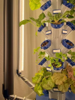 Modular Hydroponics Tower w/ Grow Lights