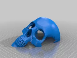 Reptile or trantula skull shaped hide