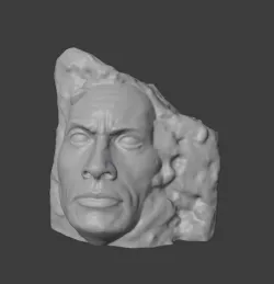 Rock rock (The Rock + a rock)