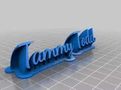 Tammy 2
