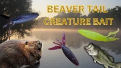Beaver Tail Creature Bait