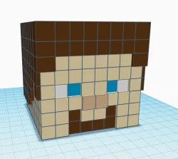 Minecraft Steve head