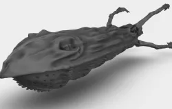Tyranid Hive Ship