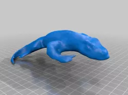lizard