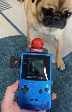 IR Remote for Custom Game Boy Camera ROMs