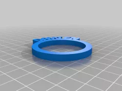 My Customized Personalized Napkin Rings