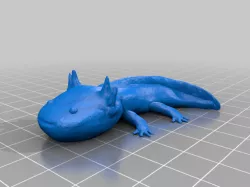 Axolotl