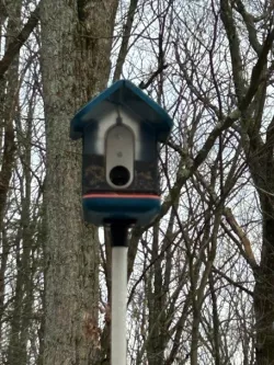 Bird Buddy mounting system and perch