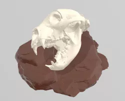 Hollow Earth Skull Kong Axe Holder