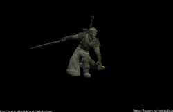 Witcher/Swordsman