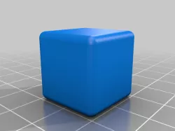 My Customized Dice-Blank