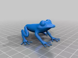 pet frog