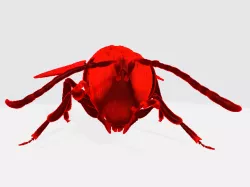red bee