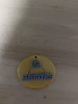 Subtronics keychain