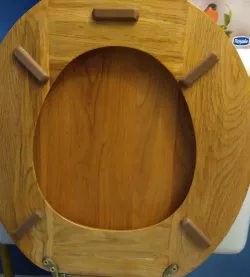 Toilet Seat Rehab Kit