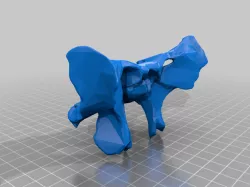 BodyParts3D sphenoid bone with pterygoid canal and foramen spinosum
