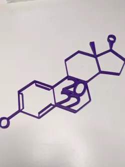 Estradiol ornament 2022