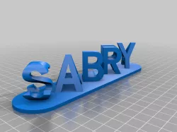 S+S