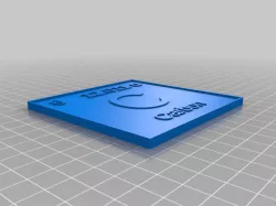 PToE Carbon Coaster