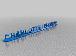 Charlotte 3D Blocks
