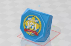 Troop 101 Boy Scout Slide
