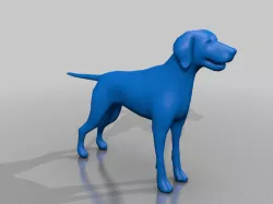Dog 3D Model