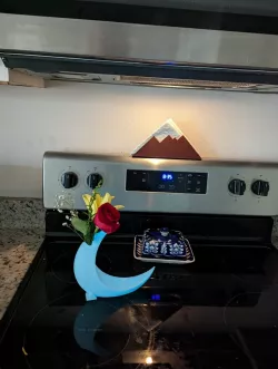 Moon Vase