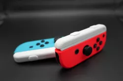 Nintendo Switch Joy-Con Strap
