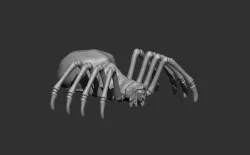 Phase Spider