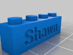 Shawn LEGO