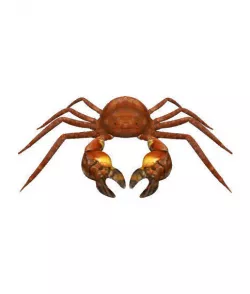 3D Crab Low-poly  3D model