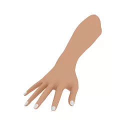 3D Hand 3D model