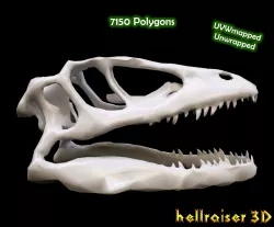 Animal Skull Low-poly  3D model