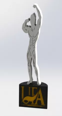 Award